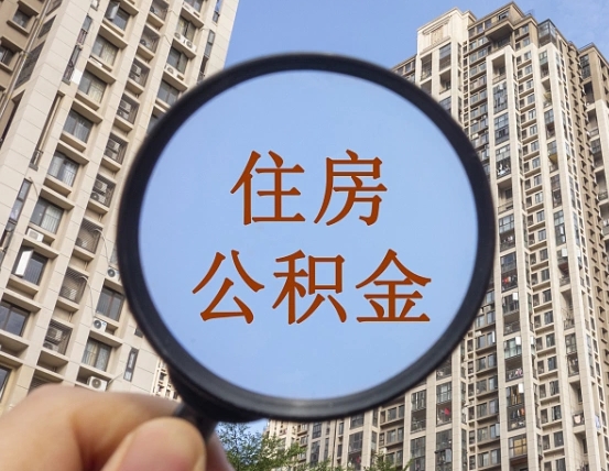 大悟退休后查不到公积金明细了吗（退休后公积金查询不到原因）